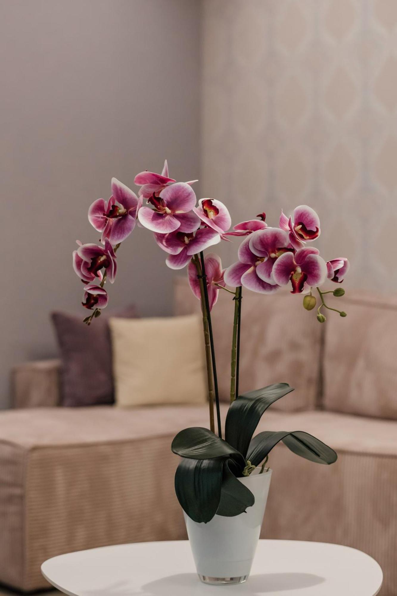 Hotel Beli Dvor Čačak Екстериор снимка